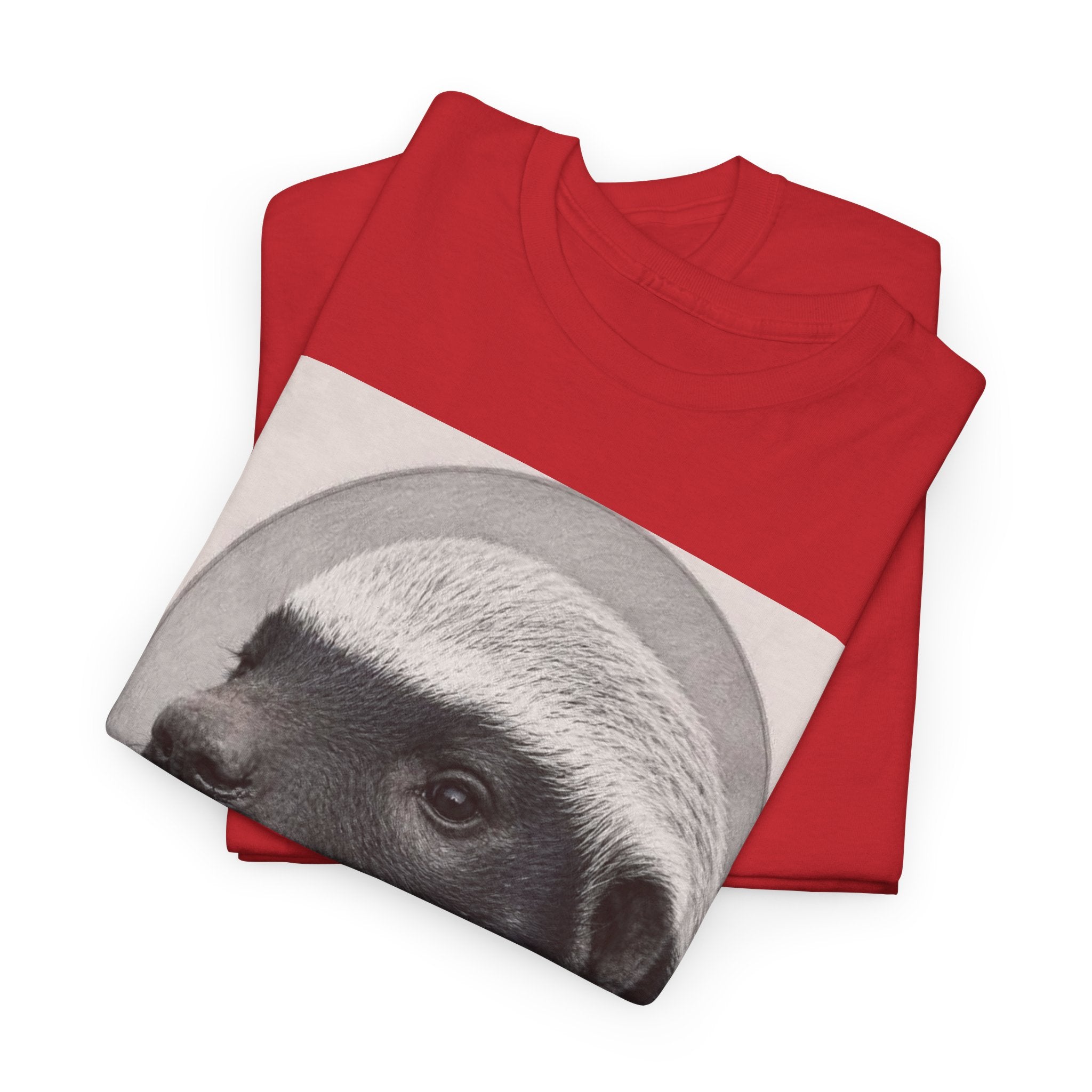 Badger Portrait Tee — "Which One of Y’all MF Said Something About a Home?" Graphic T‑Shirt
