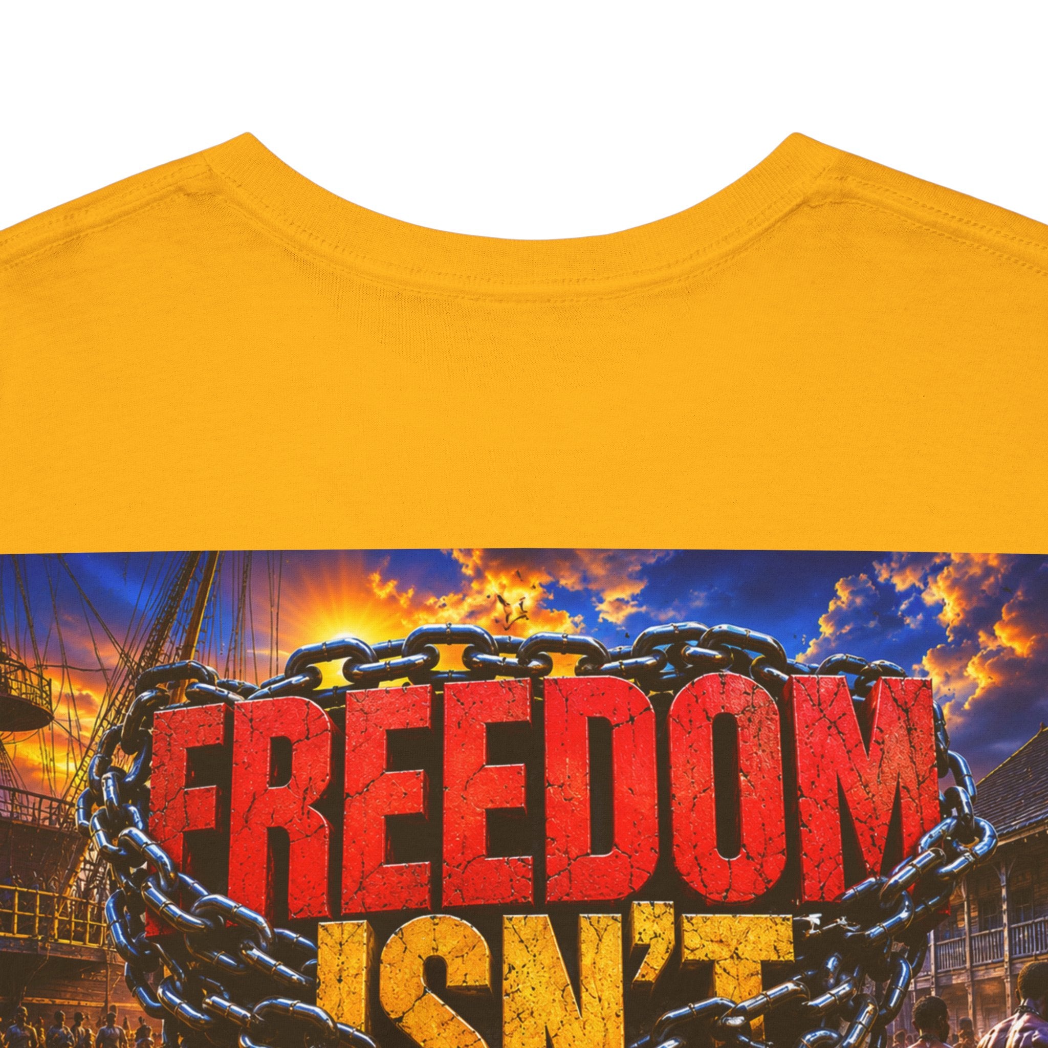 Graphic Tee — "F*ck the 4th" / "Freedom Isn’t Free" Patriotic Protest T-Shirt