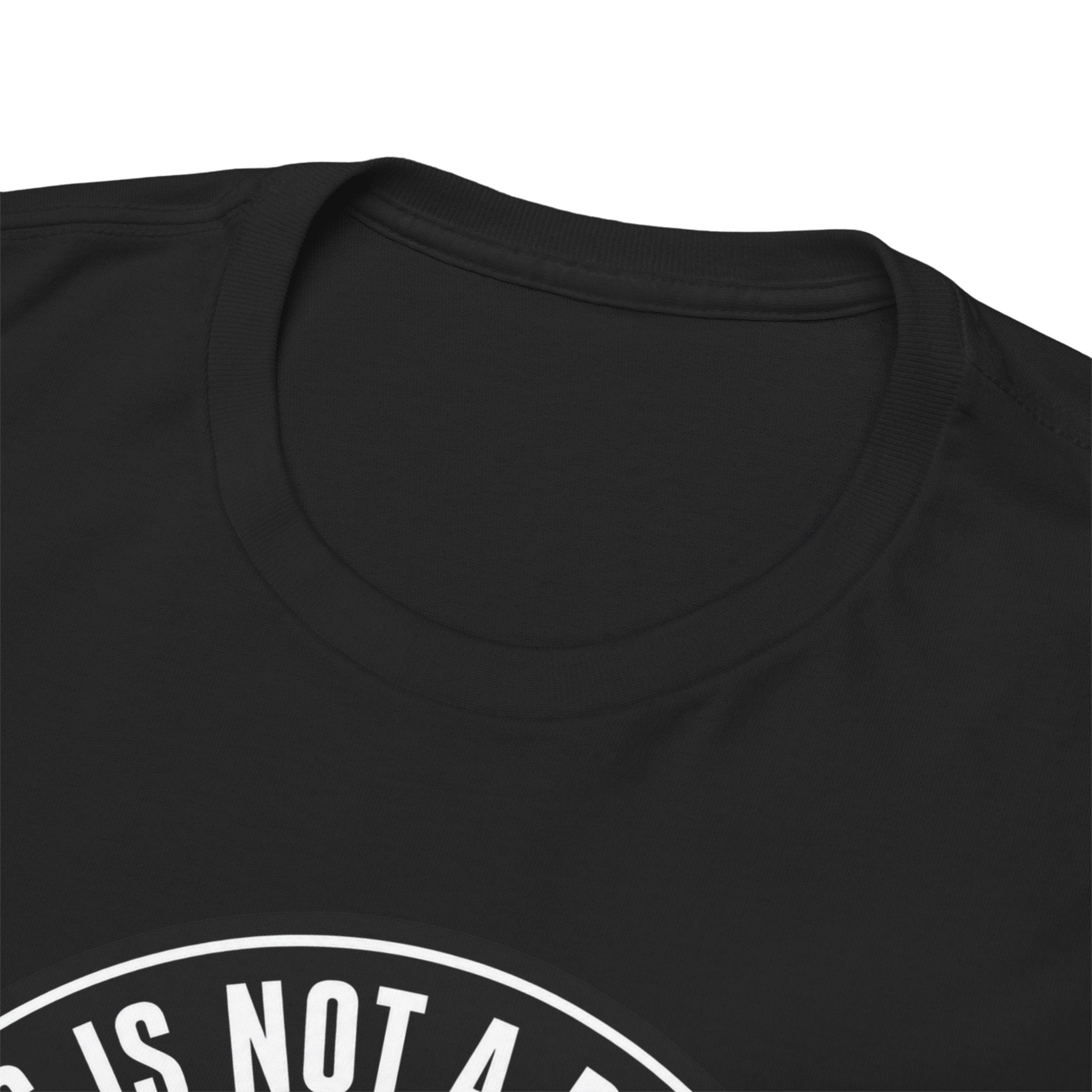 Political Protest Tee — “This Is Not a Boycott, This Is a Wealth Transfer” Shirt (Back: #InEveryLifetime)